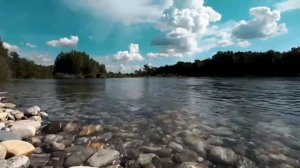 4K лесная река атмосферные звуки природы пение птиц журчание воды летнее озеро