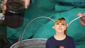 Обработайте ЭТИМ ОГУРЦЫ и избавьтесь от МУЧНИСТОЙ РОСЫ!!!