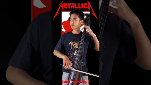 Seek and Destroy (Cello Cover) #metallica #heavymetal #trashmetal #rock #electriccello #cello