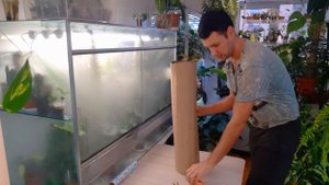 КАК  УПАКОВАТЬ КРУПНОЕ РАСТЕНИЕ,? / УПАКОВКА ДЛЯ ПОЧТЫ РОССИИ