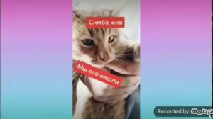 Симбочка Пимпочка жив и здоров