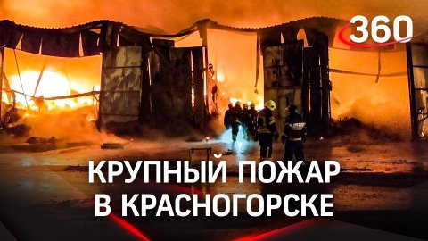 Спасатели потушили крупный пожар в Красногорске, площадь - 2100 кв. м