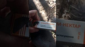 Тестируем тилоциклин при хрипах голубей