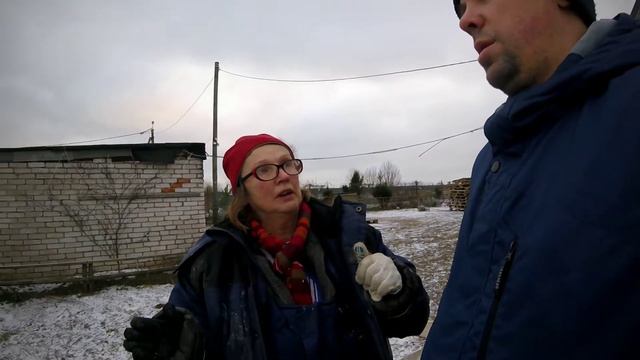 Приют для собак. С чего начался и откуда там берутся собаки #приютдлясобак #собаки #antonkovalchuk