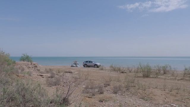 Бешеный клёв сазана. смотреть онлайн