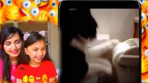 ЛУЧШИЙ НЕ ЗАСМЕЙСЯ Челлендж с КОТАМИ #5 ТАЙНАЯ ЖИЗНЬ ДОМАШНИХ ЖИВОТНЫХ Смешные КОТИКИ Питомцев