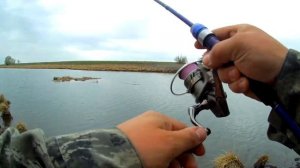 В поисках трофея.Пологое займище Астраханская область.Рыбалка удалась.