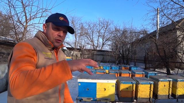 Щавелевая Кислота. Ответы на вопроси. Обработка пчел Весной. ВИДЕО #3 смотреть онлайн