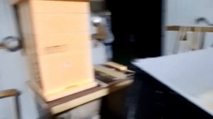 Улей из утеплителя на пробу!!! Отличный вариант для стационарной пасеки!