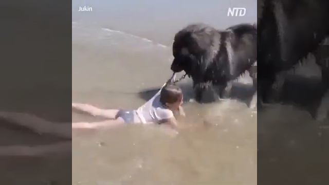 таких друзей среди людей к сожалению не найти !!! смотреть онлайн