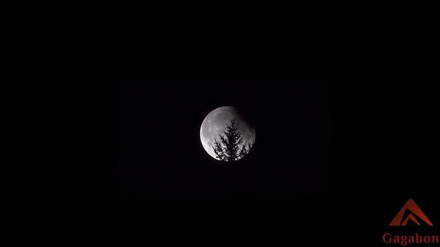 Мистические истории из жизни - Переведи меня через реку! смотреть онлайн