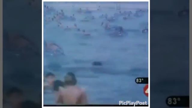 Первая помощь: как выглядит тонущий человек. смотреть онлайн