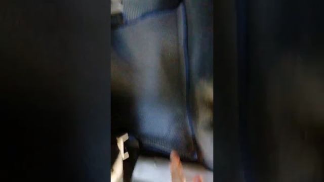 EVA коврики на Mazda Demio , хэтчбек 5 дв., 2 поколение, DY (04.2002 - 06.2010) смотреть онлайн