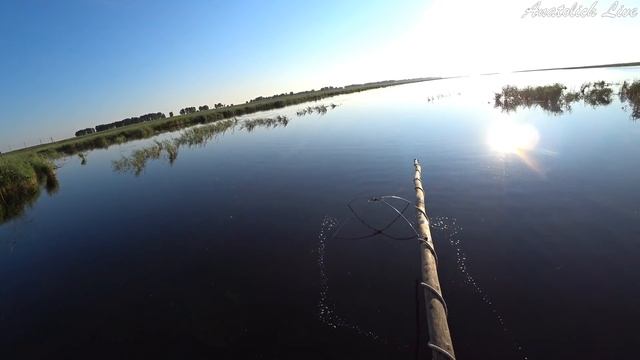 Рыбалка на Паук (подъёмник). Я всё-таки его поймал... Видео 2020 ( САЗАН КАРАСЬ) Ловля на ПАУК лето