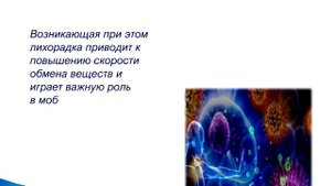 Термометрия. Лихорадка