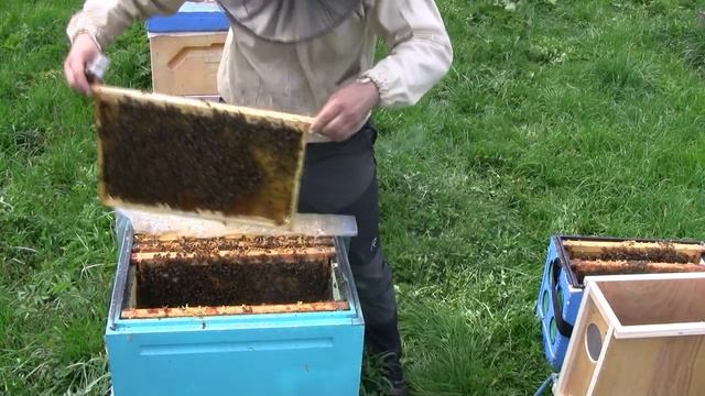 ФОРМИРОВАНИЕ ПЧЕЛОПАКЕТА НА ПРОДАЖУ смотреть онлайн