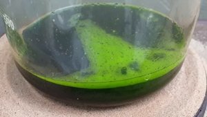 Аффинаж лигатуры (контакты(штырьки) разъемов). Gold in Soviet ligature.