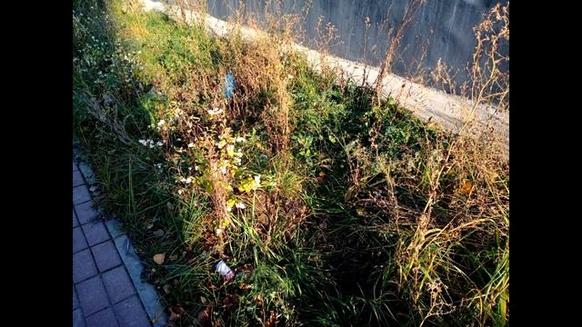 Немного другой, но всё такой же Vivo - Vivo Y19 смотреть онлайн