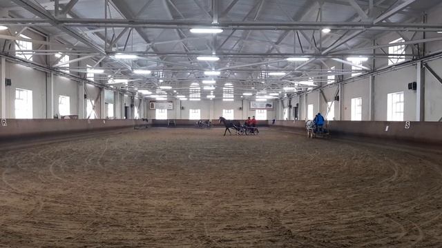 Драйвинг. Разминка перед мини-марафоном смотреть онлайн