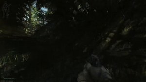 EFT: Джонни, это гуки! Они на деревьях!