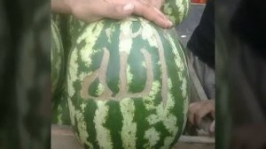 Оят аль курси сурраси