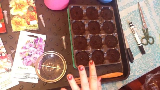 Посев ЭУСТОМЫ и БЕГОНИИ КЛУБНЕВОЙ семенами смотреть онлайн