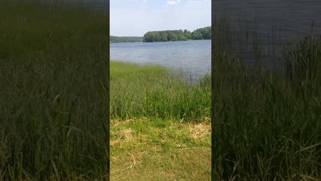 Вот так их успокаивают :) смотреть онлайн