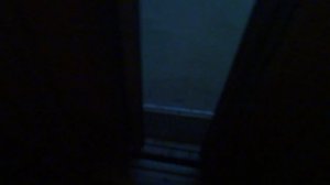 Электрический лифт V=0,71 м-с, грузоподъемность 320 кг (2393)