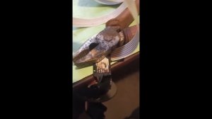 Ремонт подрулевого шлейфа Митсубиси Каризма