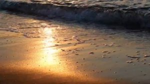 Звуки Пляжа, Моря, Загорающих Людей . Расслабляющие Звуки для Сна .10 часов !