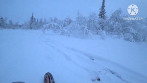 В тайгу на снегоходах,Ирбис150 l и Стелс Капитан,бьем путик.