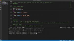 Shell Scripting Crash Course - Beginner Level