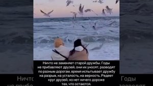 Старые друзья никуда не исчезают...