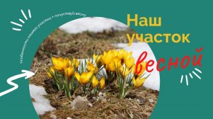 Наш участок весной.
