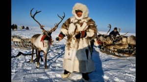 Окружающий мир 4 класс ч.1, тема урока "В содружестве с природой", с.106-109, Перспектива