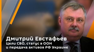 Дмитрий Евстафьев. Цели СВО, статус в ООН и передача активов РФ Украине