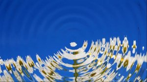 ВИДЕОФОН ДЛЯ ВИДЕОМОНТАЖА