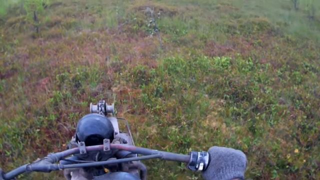 Сбор клюквы 2021 год,началось,.. смотреть онлайн