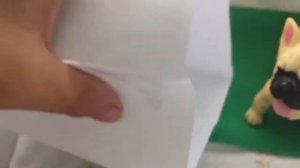 Сквиш собачка показываю ее дом ?