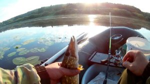 Щука на кружки и жерлицы! Щука топит кружки #щука