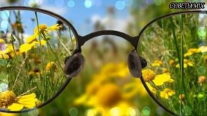 Вот при каких НЕДУГАХ полезно употреблять КЛУБНИКУ Польза клубники для организма человека
