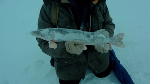 Рыбалка в Нижневартовске