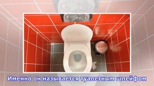 Почему нужно опускать крышку унитаза перед смывом