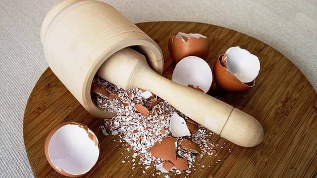 Можно ли давать курам скорлупу от яиц
