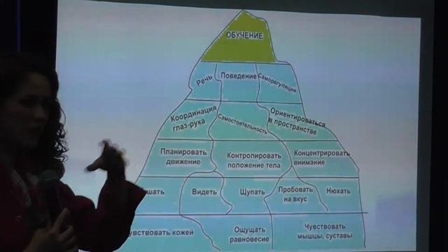 Гиперчувствительность к запахам и звукам у детей. Действие закона сенсорной интеграции.