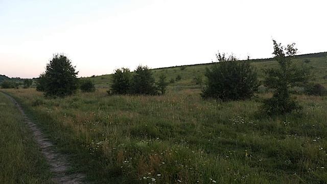 Камуфляж, Сamouflage (Сумрак,КЗС,Партизан/СС/Лягушка,КЛМК Березка), Тест маскировочных костюмов.