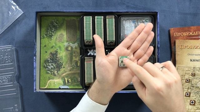 Обзор игры Пробуждение медведя