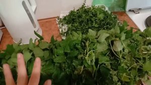 Мелисса лимонная, мята. И как много счастья у меня впереди