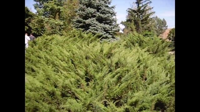 Приколы на Украинской Свадьбе. Второй Ржачный Свадебный День.