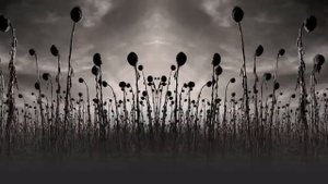 Dead Can Dance - 'Kiko'